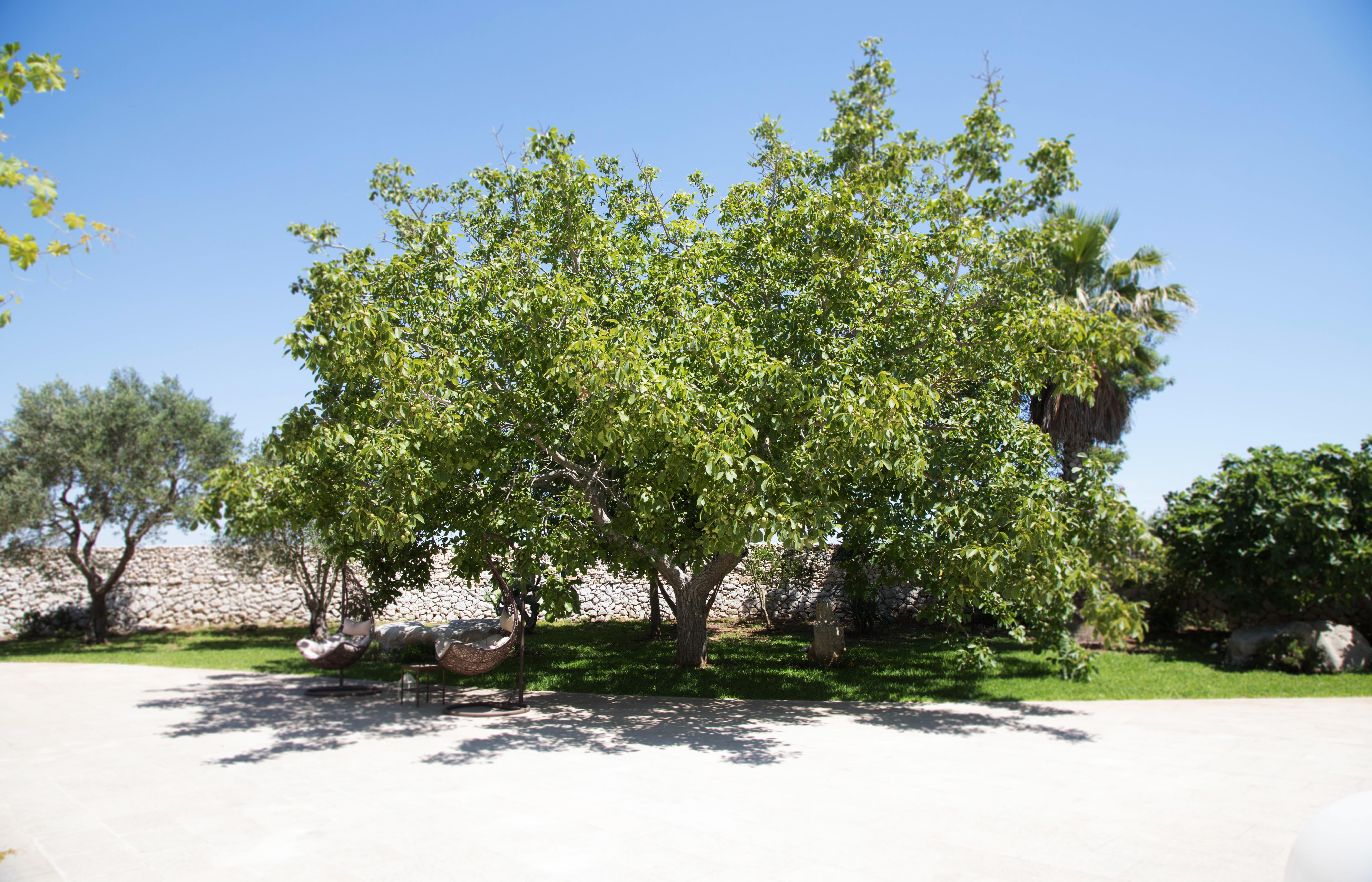 Don Agostino Relais Masseria Hotel Martano Exterior photo